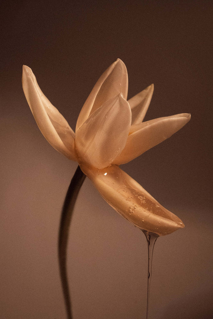 Gorgeous flower which inspires Superba's essential oils and home fragrance 